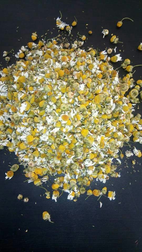 Chamomile​