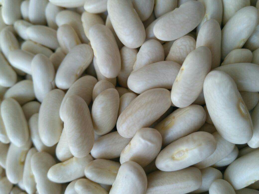 White Beans